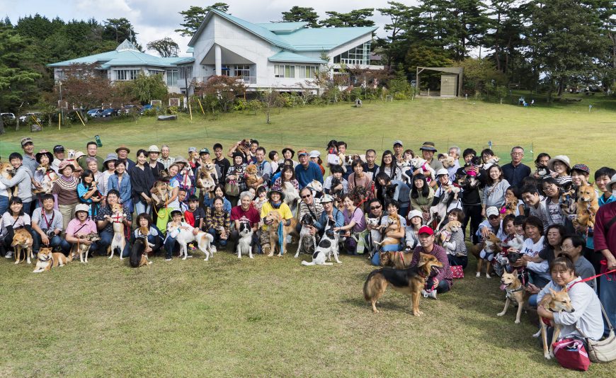 イベント Hunde e 犬の日 18 神石高原ティアガルテン 神石高原ティアガルテン